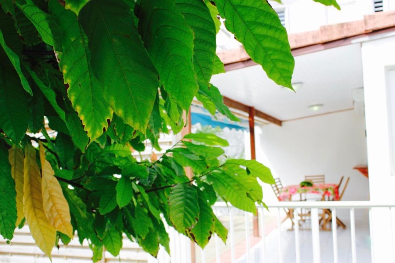 לה טרואז אילט Villa Bougainvillier מראה חיצוני תמונה